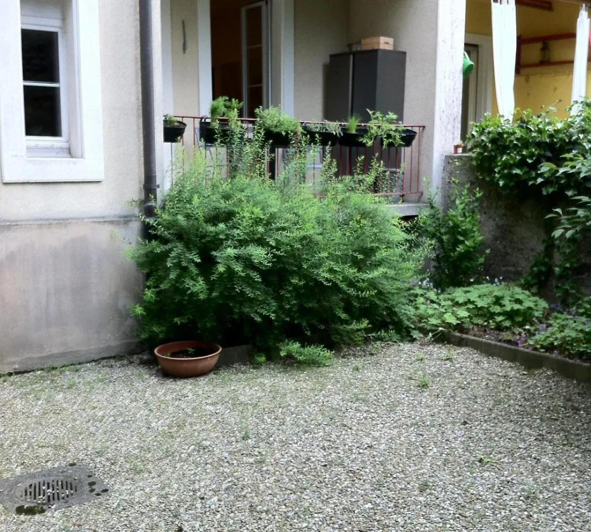 Center Direct To Rhine, Best For Art Bazel